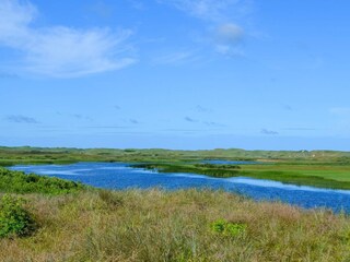 Casa per le vacanze Nymindegab  12