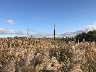 Holiday house Nymindegab  31