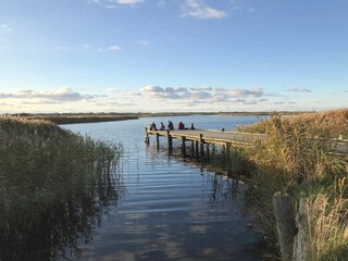 Casa de vacaciones Nymindegab  45