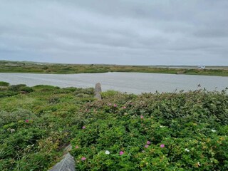 Casa per le vacanze Nymindegab  42