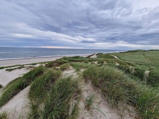 Vakantiehuis Nymindegab  48