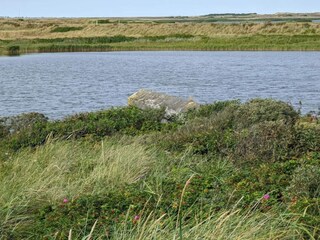 Ferienhaus Nymindegab  17