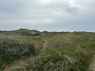 Ferienhaus Hvide Sande  37