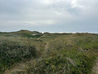 Vakantiehuis Hvide Sande  32