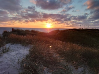Ferienhaus Hvide Sande  21