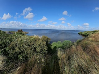 Ferienhaus Hvide Sande  23