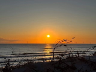 Ferienhaus Hvide Sande  25