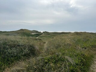 Ferienhaus Hvide Sande  35