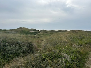 Ferienhaus Hvide Sande  36