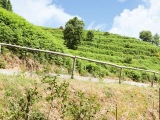 Villa Santa Caterina dello Ionio Environment 27