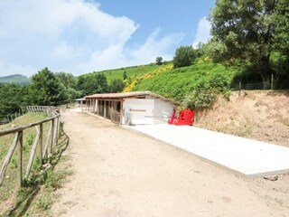 Villa Santa Caterina dello Ionio Environment 28