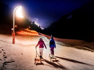 Appartamento per vacanze Going am Wilden Kaiser Ambiente 39