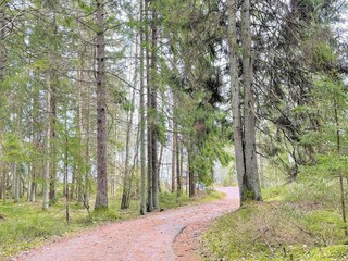 Vakantiehuis Ellös  8