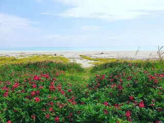 Casa per le vacanze Briatico Ambiente 27
