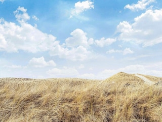 Ferienhaus Hvide Sande  10