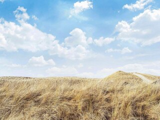 Vakantiehuis Hvide Sande  15