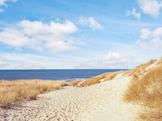 Ferienhaus Hvide Sande  28