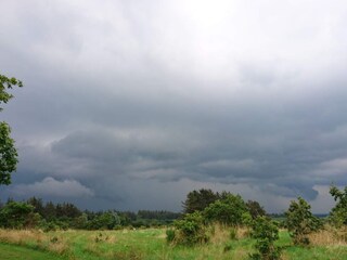 Ferienhaus Henne Strand  17