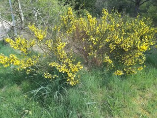 Maison de vacances Henne Strand  29