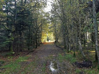 Maison de vacances Henne Strand  30