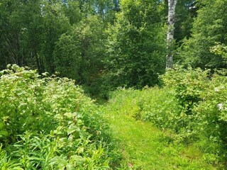 Vakantiehuis Welt  18