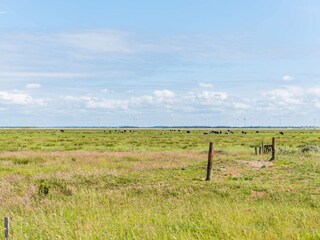 Vakantiehuis Bjerregård  23