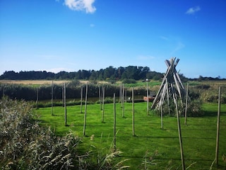 Holiday house Bork Havn  16