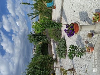 Apartamento Seget Donji Grabación al aire libre 10