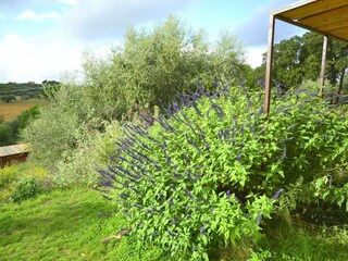 Vakantiehuis Caltagirone Buitenaudio-opname 5