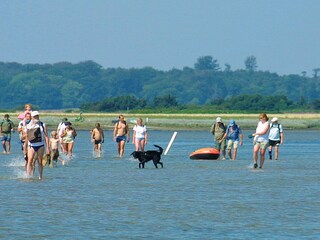 Vakantiepark Bogense  37