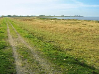 Holiday park Bogense  61