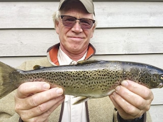 Ferienhaus Skei i Jølster  35