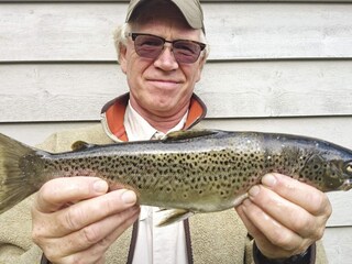 Holiday house Skei i Jølster  46