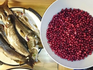 Vakantiehuis Skei i Jølster  31