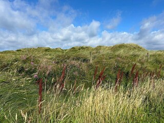 Vakantiehuis Vejers Strand  19