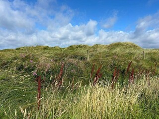 Vakantiehuis Vejers Strand  9