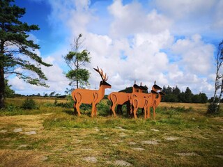 Ferienhaus Vejers Strand  10