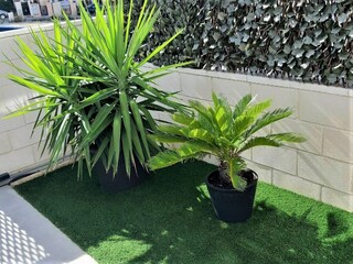 Villa Puerto San Miguel  28