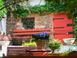 Apartamento Lind (bei Mayen) Grabación al aire libre 58