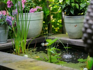 Appartamento Lind (bei Mayen) Registrazione all'aperto 63