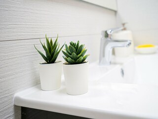 Appartement Torrevieja  36