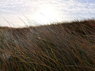 Maison de vacances Klegod  26