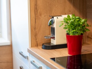 Appartamento per vacanze Fusch Caratteristiche 8