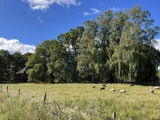 Vakantiehuis Vingåker  11