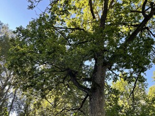 Vakantiehuis Vingåker  14