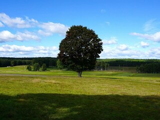 Vakantiehuis Vingåker  15