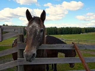 Vakantiehuis Vingåker  16