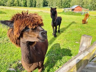 Vakantiehuis Vingåker  18