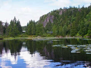 Holiday house Welt  37