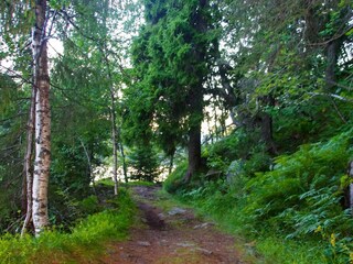 Vakantiehuis Welt  25